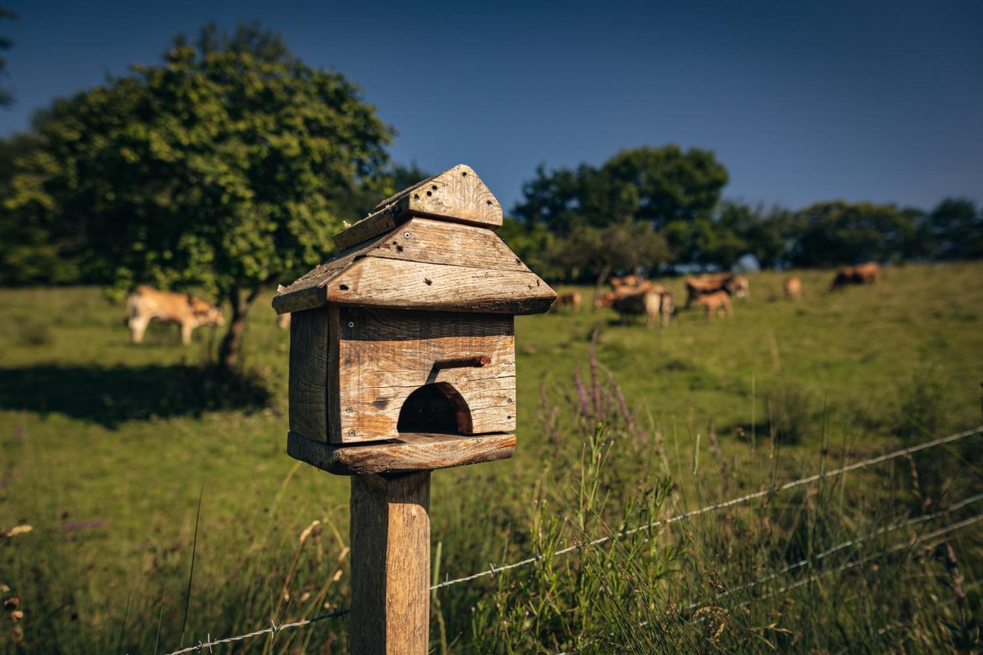 Finca La Naguada Casa Rural En Asturias Beloncio Ngoại thất bức ảnh