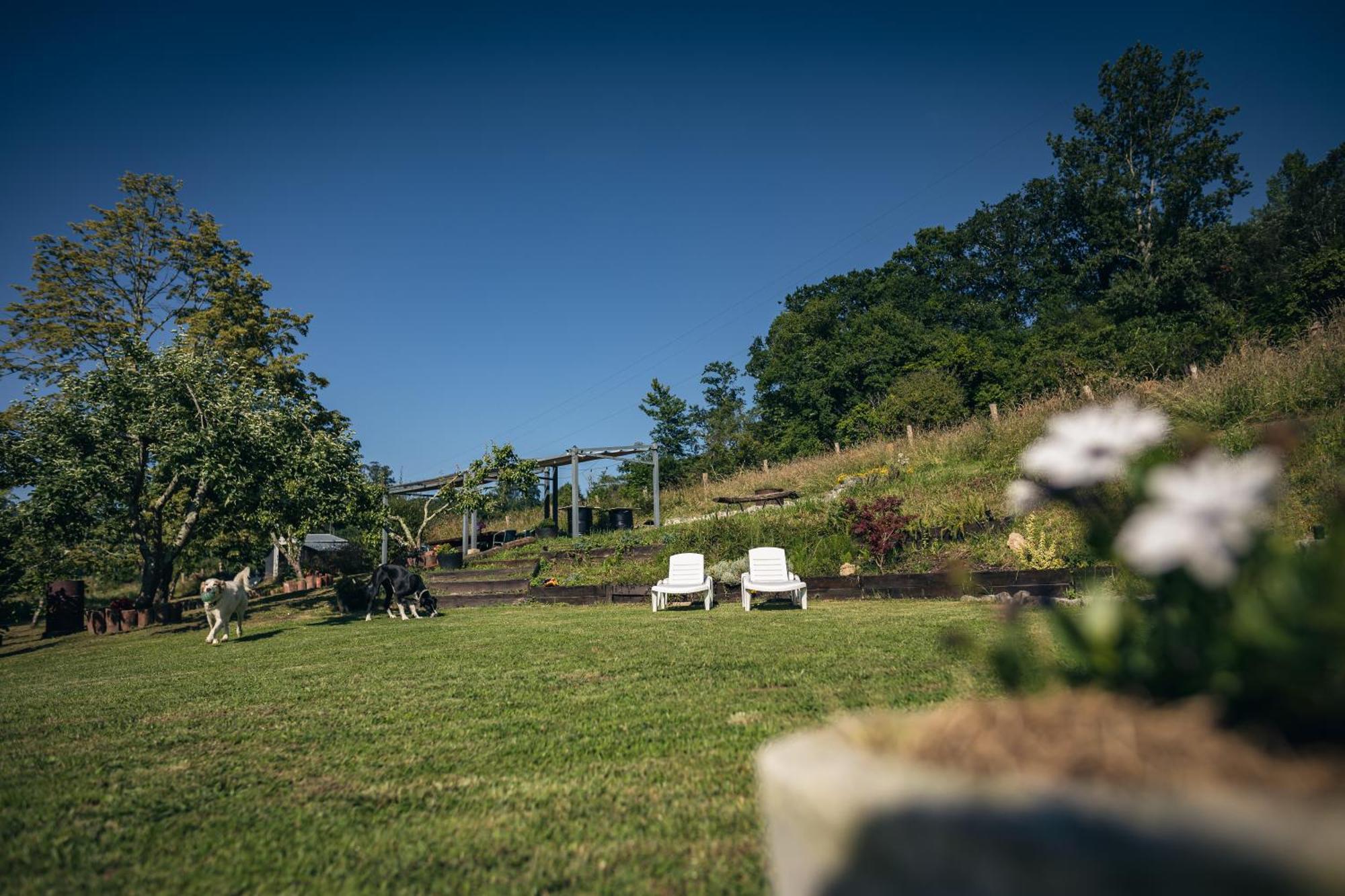 Finca La Naguada Casa Rural En Asturias Beloncio Ngoại thất bức ảnh